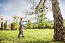 Best Commercial Tree Services  in Victorville, CA